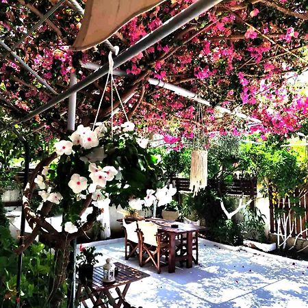 Apartments Athina Orikum Dış mekan fotoğraf
