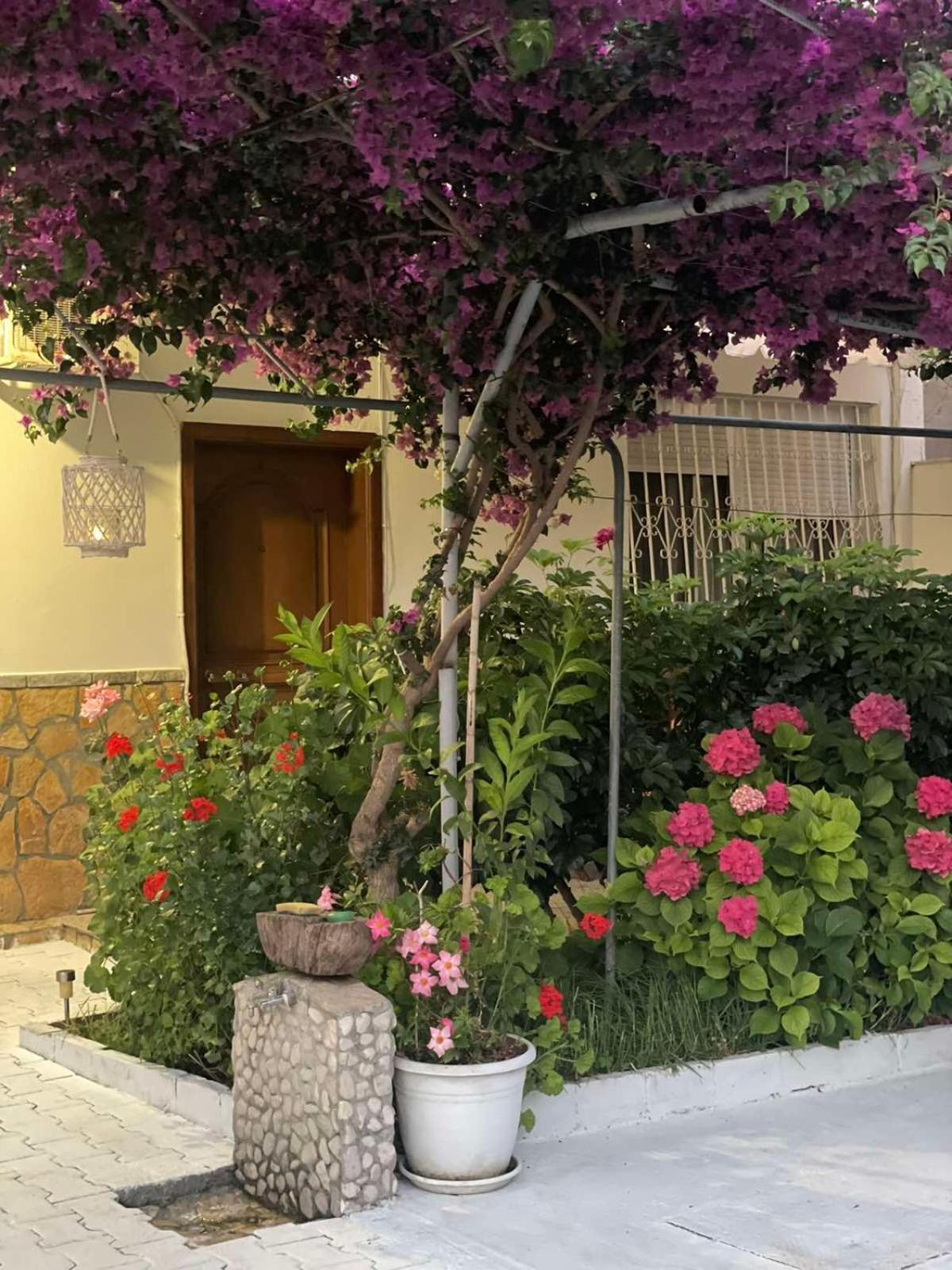 Apartments Athina Orikum Dış mekan fotoğraf